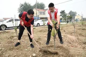 2022学习先进模范人物心得体会及意义（模范先锋典型事迹学习总结及目的）