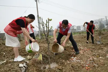 2022争当雷锋传人做好事主题活动总结范文（争做道德模范解难事宣传工作总结范例）