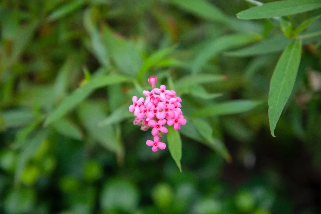 为人处世的真理（分享30句处世真言）