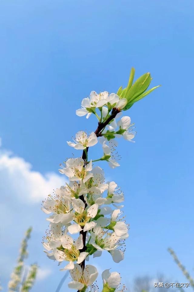 令人清醒的励志句子（你现在的努力里，藏着你十年后的样子）