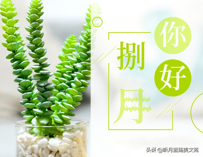 七月的不愉快都走了，希望八月好运都会来（八月你好）