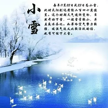 2022静待一片寒小雪节气创意活动教案范文（飞雪如花落小雪时节科普主题教案范例）