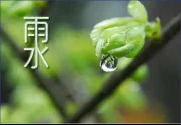 2022好雨时节幼儿园雨水节气活动教案模板（润物无声幼儿园雨水节气主题教案范本）