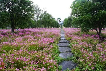 路上的风景800字优秀作文（人生之路，漫漫无尽）