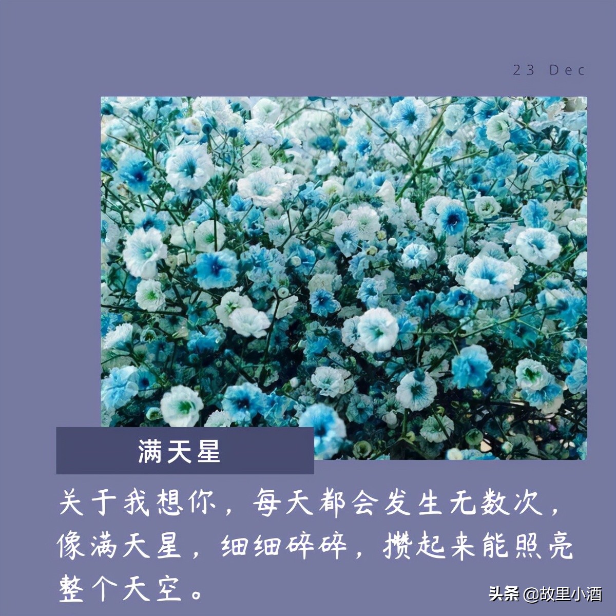 有关花的唯美句子有哪些（精选10句花的唯美句子）