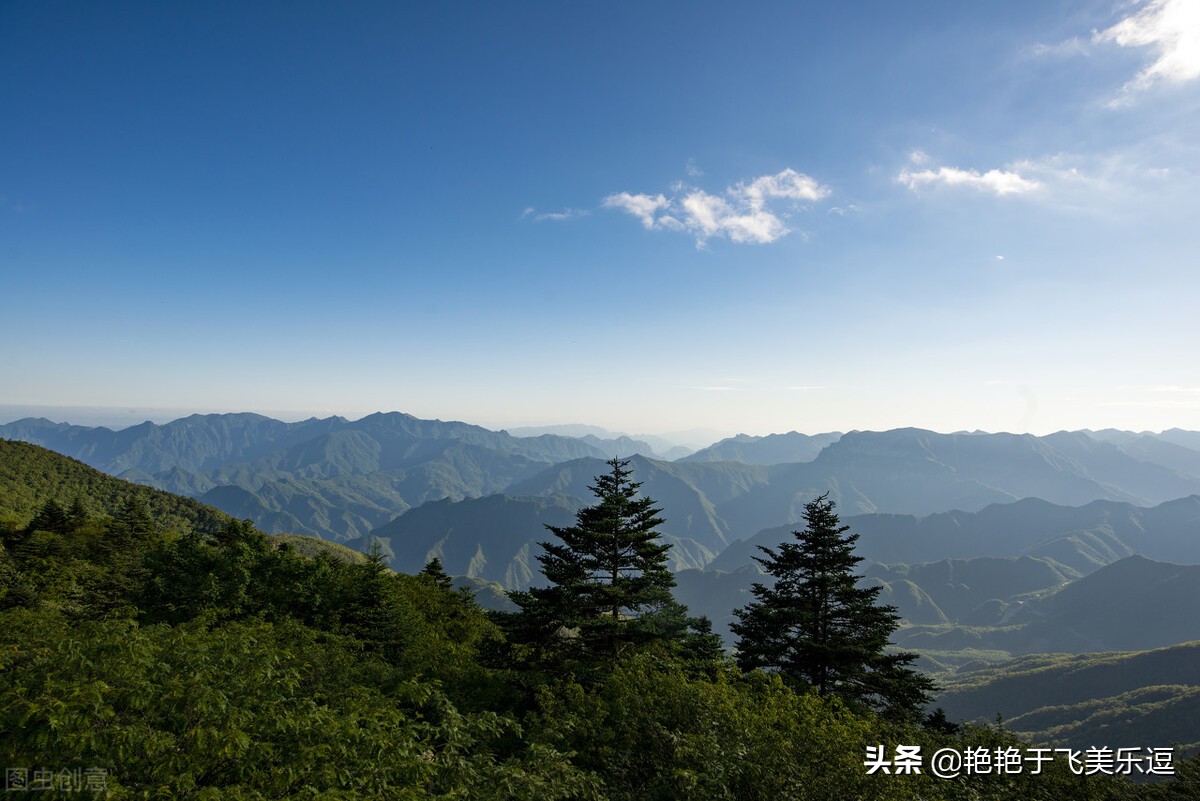 有关登山优秀作文800字（无限风光在险峰）