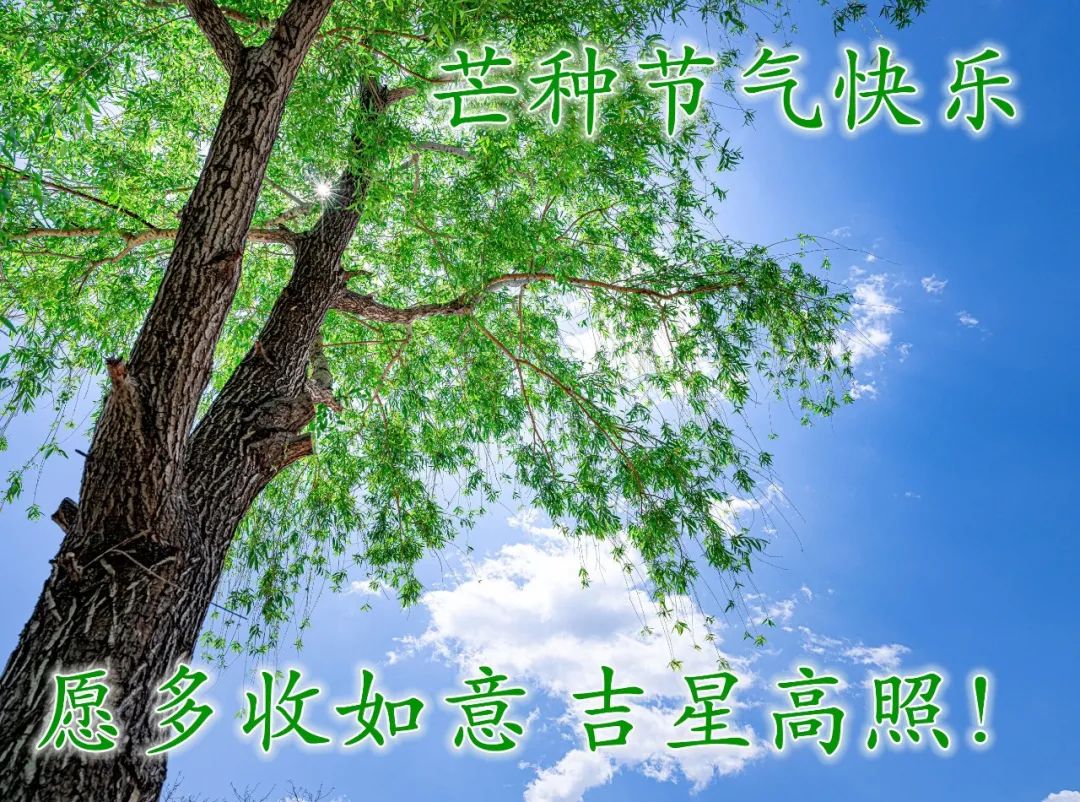 芒种节气心语问候语合集（芒种快乐，马不停蹄）