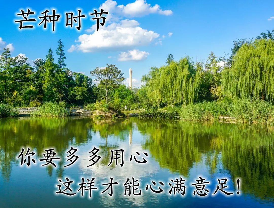 芒种节气心语问候语合集（芒种快乐，马不停蹄）