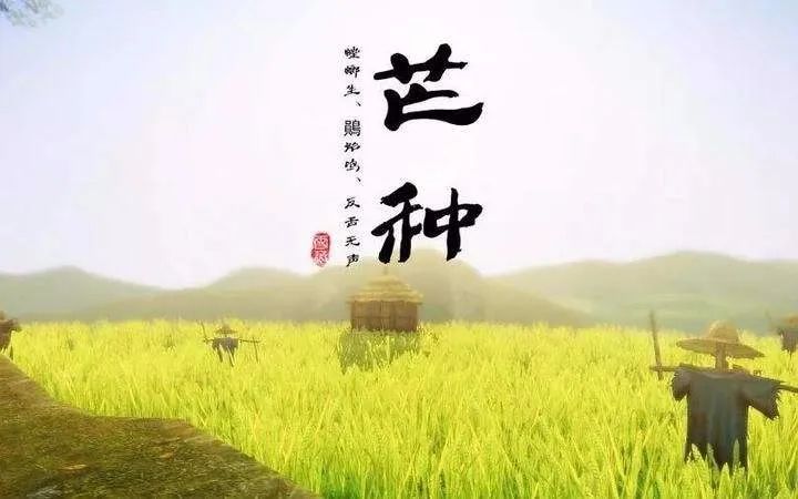 芒种来登场，作物即进仓（芒种时节问候文案句子）