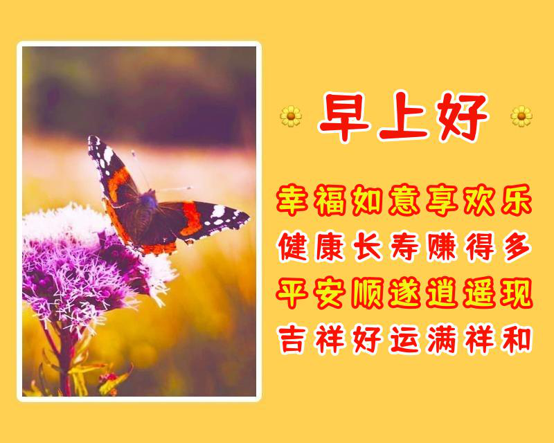 荣华富贵幸福延，早安吉祥（暖暖的早上好祝福语）