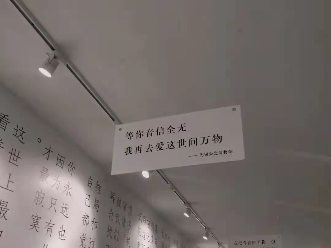 那些表达释怀的文案（要及时清醒也要事事甘心）