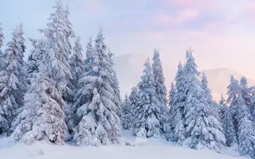 与外婆在一起的日子作文800字（离不开雪，温馨而又坚强）