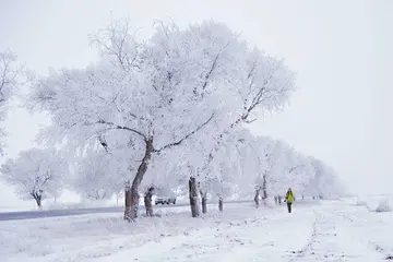 与外婆在一起的日子作文800字（离不开雪，温馨而又坚强）