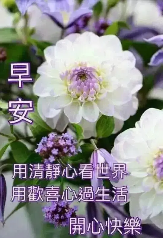 祝福事业发展好的句子（经典的事业发展祝福语）