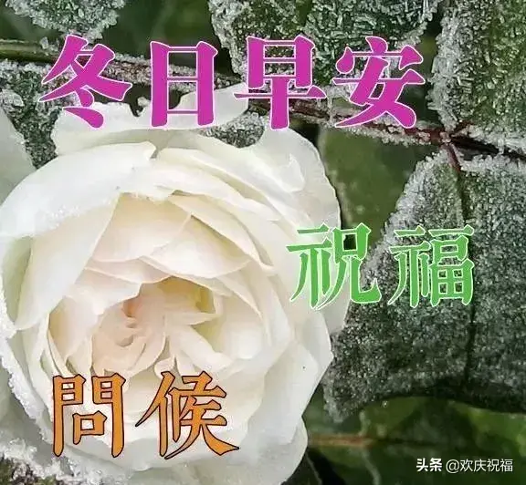 寓意发展越来越好的祝福句子（2022事业辉煌如意，生活顺顺利利）