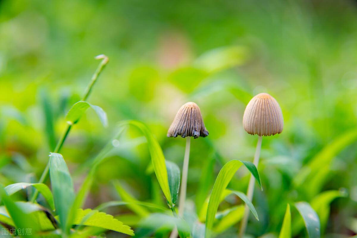 那些不负春光的唯美句子（人生不负春光，岁月亦不负韶华）