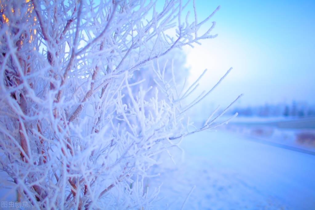 有关雪景的古诗词（白雪纷飞，天地苍茫）