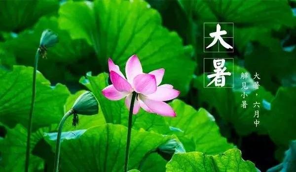 大暑节气优美祝福文案（大暑节气问候语选辑）