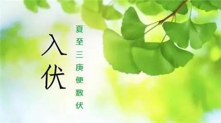 入伏祝福语文案（精选三伏天独特问候句子）