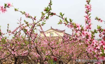 形容风流才子著名的诗词（风流才子的古诗词）