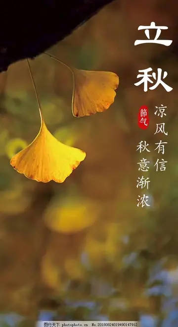 适合立秋发的暖心文案（转眼夏天成了故事，秋天成了风景）