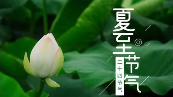 夏至节气唯美古诗，夏至古诗词大全