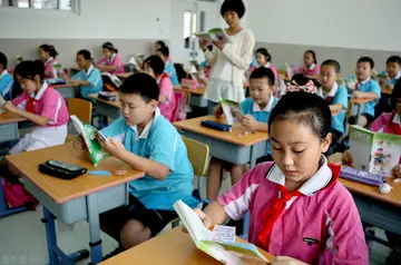 2022飘扬的红领巾小学生学习心得体会范文（红领巾爱学习小学生个人心得感受范例）