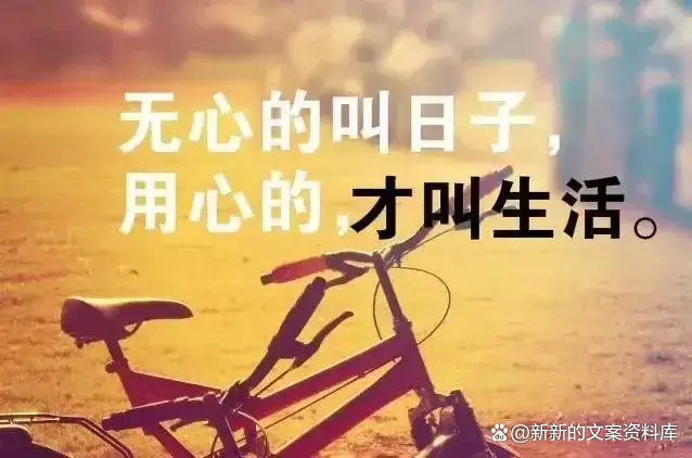 女人成熟有深度的句子（善良无底线，终是一文不值）