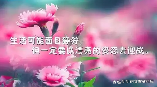 现实人生感悟心情短句（你所看到的惊艳，都曾被平庸历练）