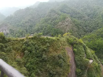 游万佛山作文800字范文（游山的快乐趣事）