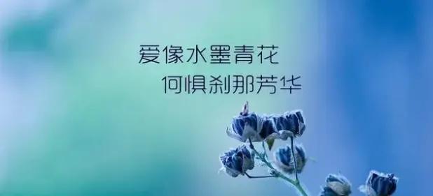 适合发动态的爱情说说（有内涵的感情的句子）