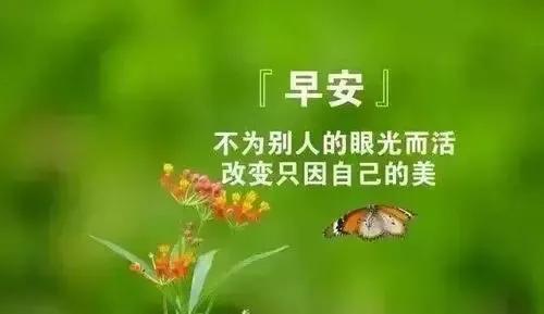 关于清晨早安的唯美句子（美好的一天开始了，世界，早安）