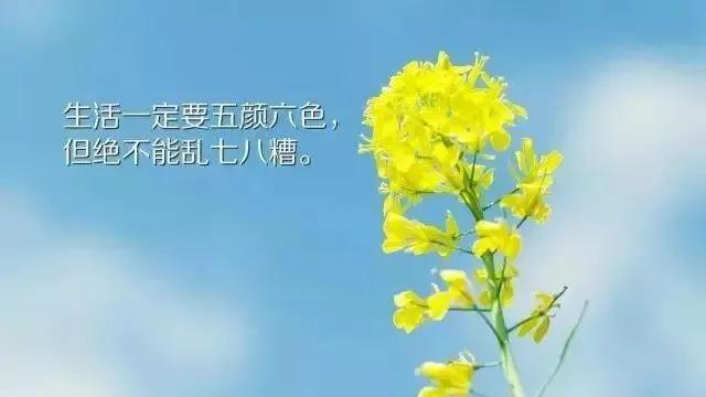 关于清晨早安的唯美句子（美好的一天开始了，世界，早安）