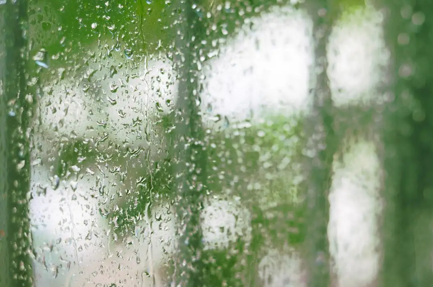 夏天听雨古诗词有哪些（分享十二首听雨的诗词）