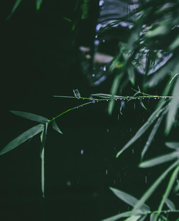 夏日午睡古诗大全（夏日午睡古诗赏析）