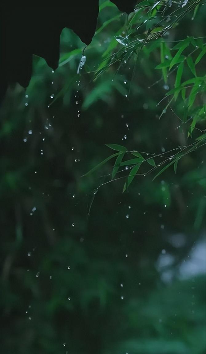 那些夏天下大雨的诗词句（描写夏天大雨的诗句）