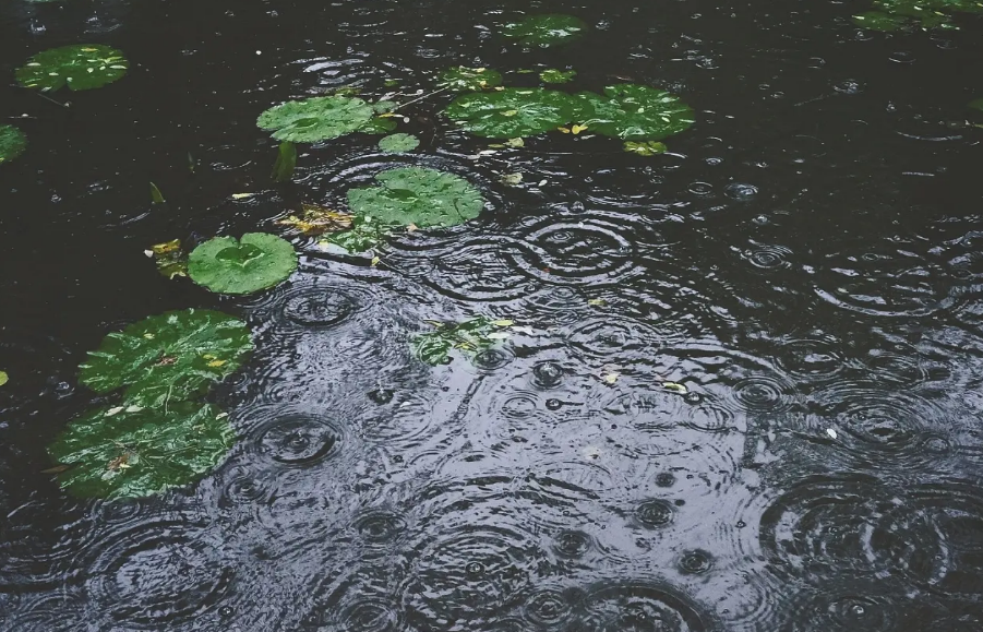 那些夏天下大雨的诗词句（描写夏天大雨的诗句）