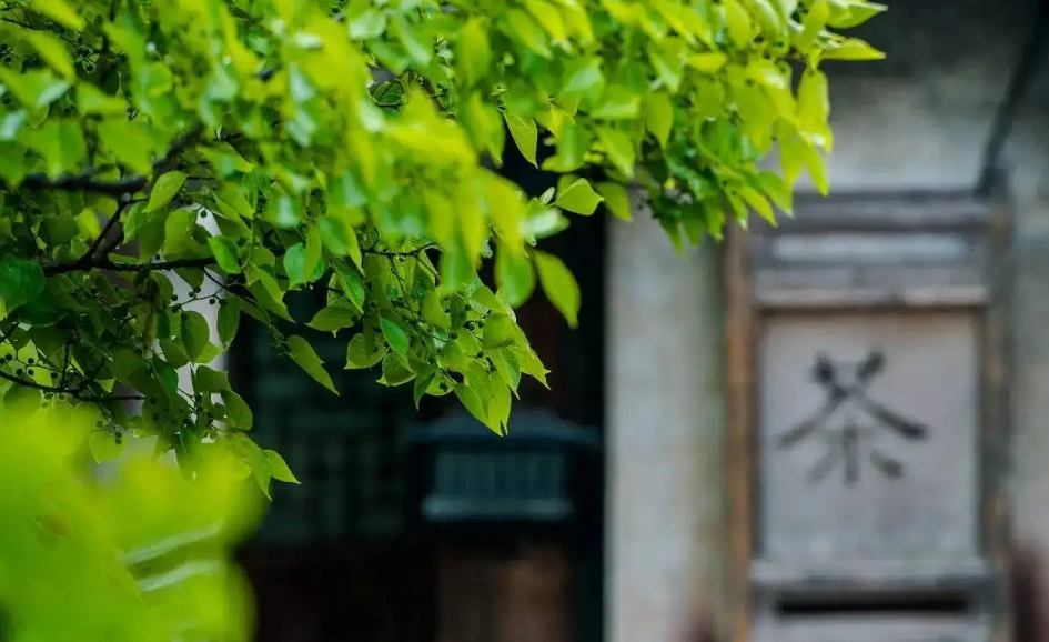 那些夏天下大雨的诗词句（描写夏天大雨的诗句）