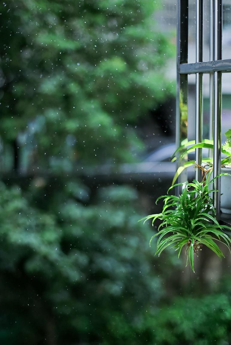 那些夏天下大雨的诗词句（描写夏天大雨的诗句）