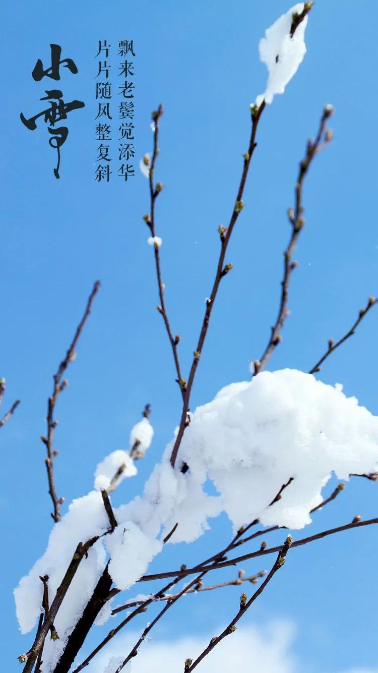 小雪节气古诗大全（小雪的经典古诗词）