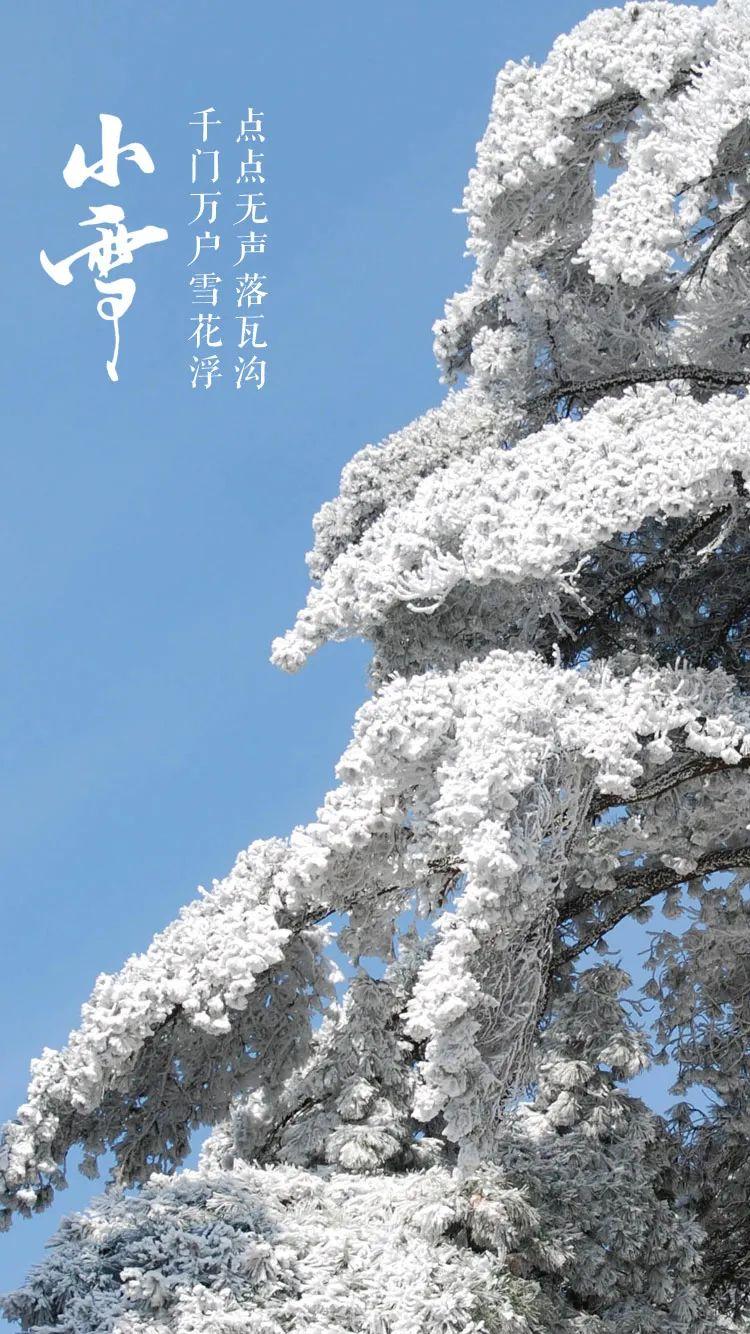 小雪节气古诗大全（小雪的经典古诗词）