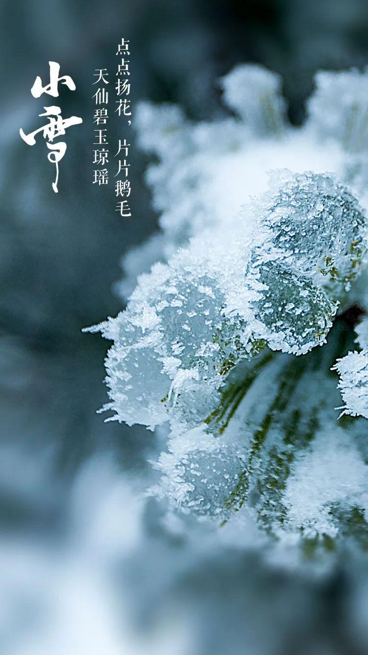 小雪节气古诗大全（小雪的经典古诗词）