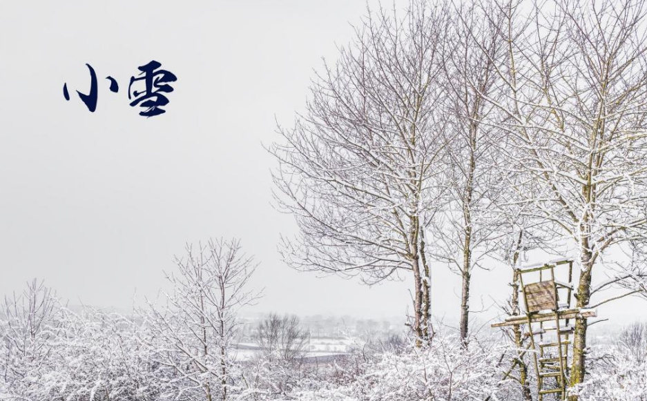 关于小雪节气的古诗词（精选10首小雪节气有关的诗句）