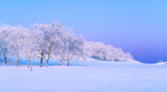 关于咏雪的诗词名句（分享十首咏雪的诗词）