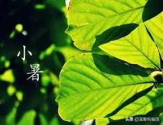 小暑节气经典祝福语大全（小暑祝福语句子）