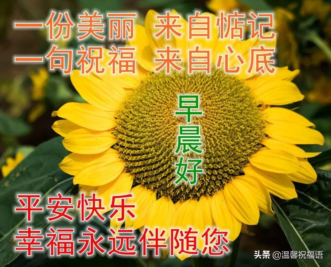 大暑节气正能量早安心语（大暑节气早安短句）