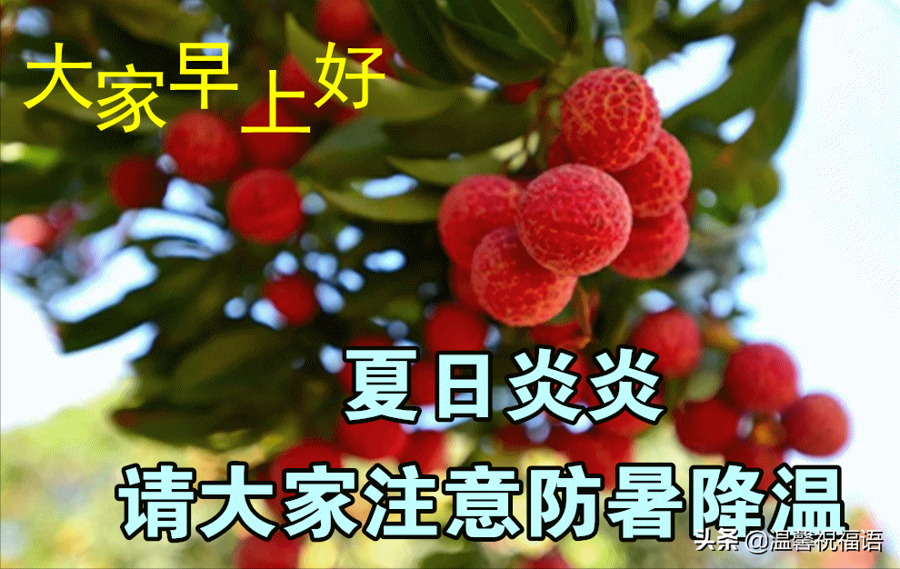 炎炎夏日早安祝福语（创意唯美早安问候语）