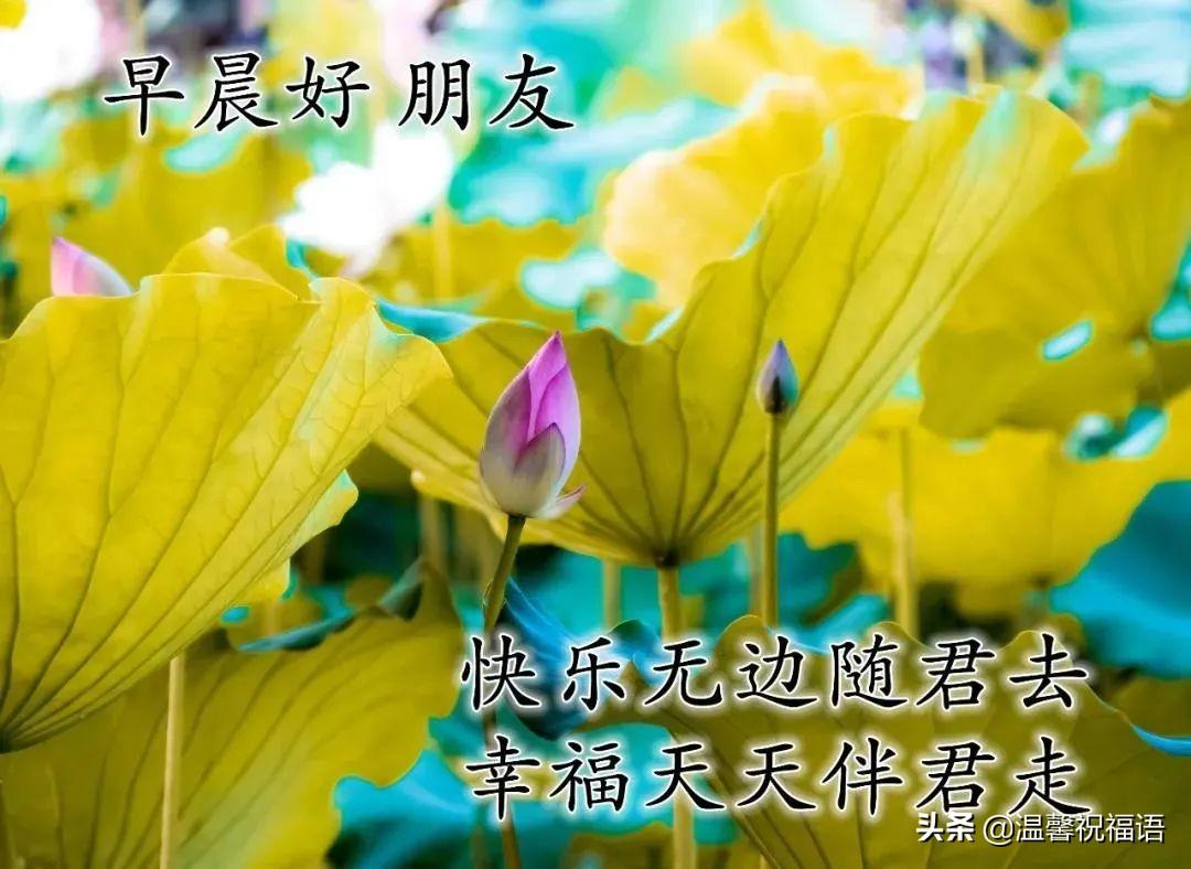 夏日早安祝福语（夏日早安祝福短句）