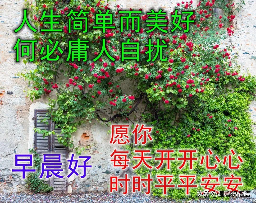 关于早上好的经典语录（早上好经典问候语录）