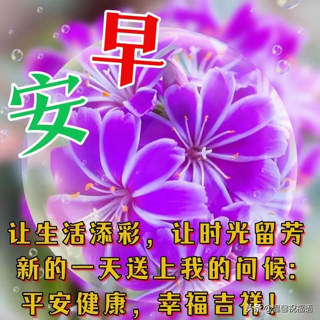 关于早上好的优美句子（正能量早安心语）